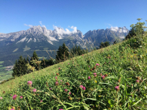 Die Natur schützen